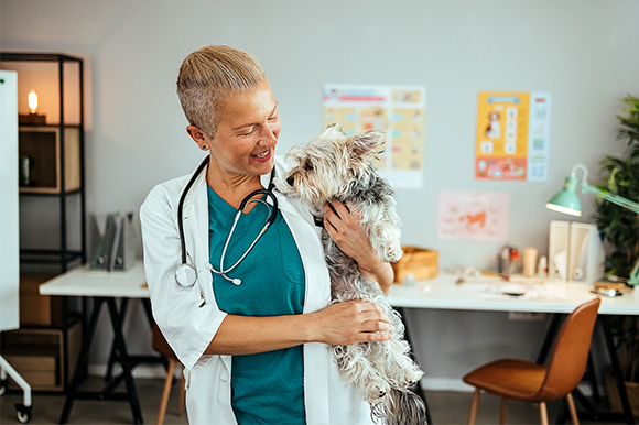 Veterinarian holding a dog